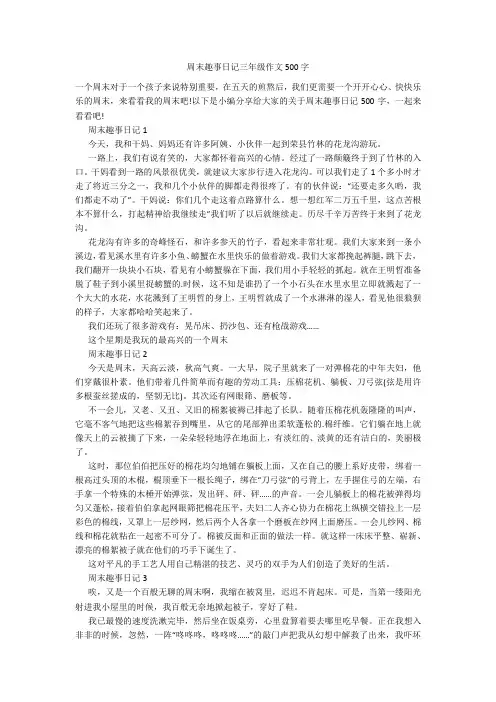 周末趣事日记三年级作文500字