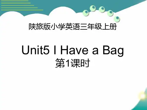 《I Have a Bag》PPT