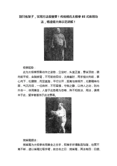 别只练架子，实用方法很重要！传统杨氏太极拳85式体用功法，杨澄甫大师示范讲解！