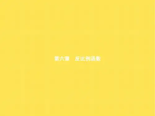 北师大版九年级数学上册课件 6.1 反比例函数