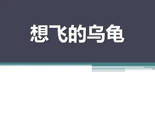《想飞的乌龟》PPT