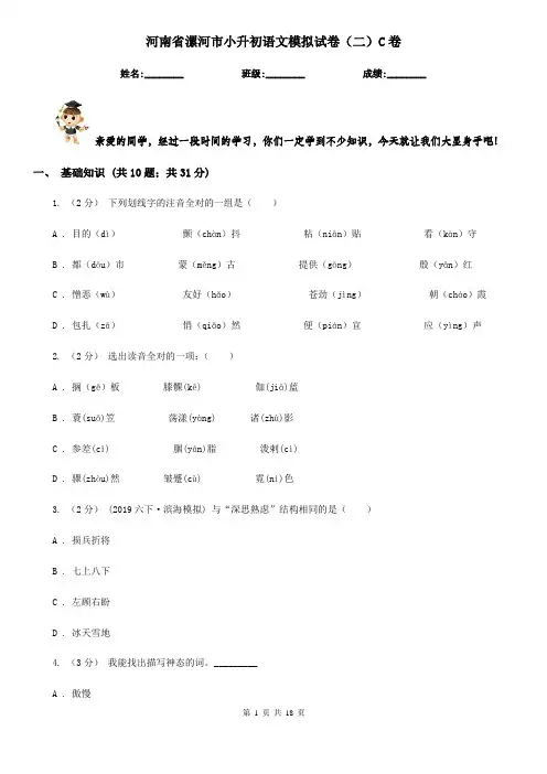 河南省漯河市小升初语文模拟试卷(二)C卷