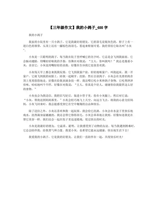 【三年级作文】我的小鸽子_400字