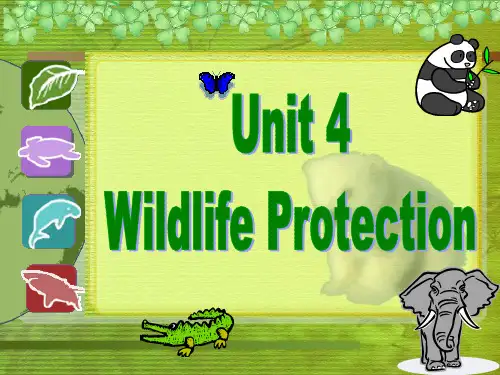 Unit 4 Wildlife protection 高中英语必修课件