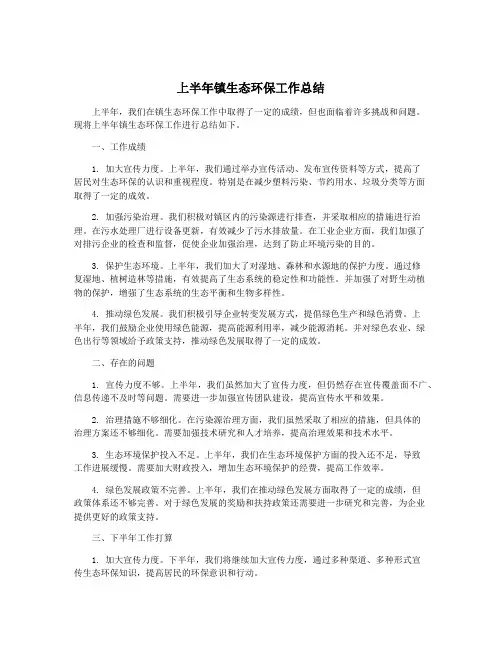 上半年镇生态环保工作总结