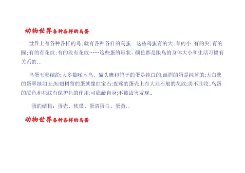 各种各样的鸟蛋