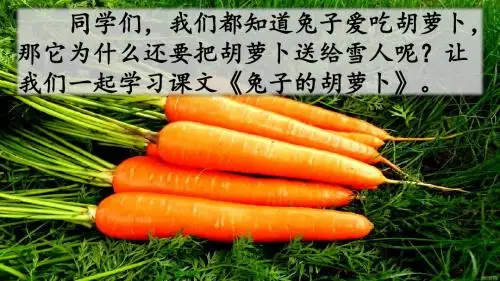 2019年新苏教版三年级语文下册5 兔子的胡萝卜(精品)