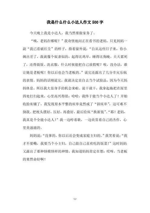 我是什么什么小达人作文500字