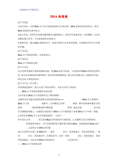 高中生物必修二学案19：3.3 DNA的复制
