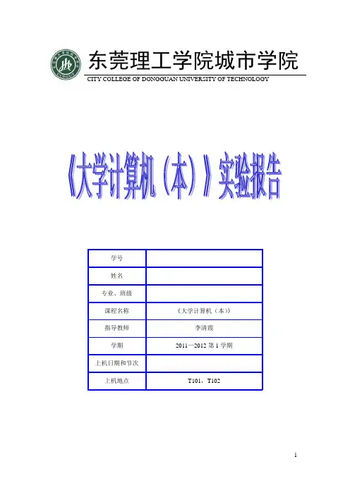 计算机基础实验报告(第七次)