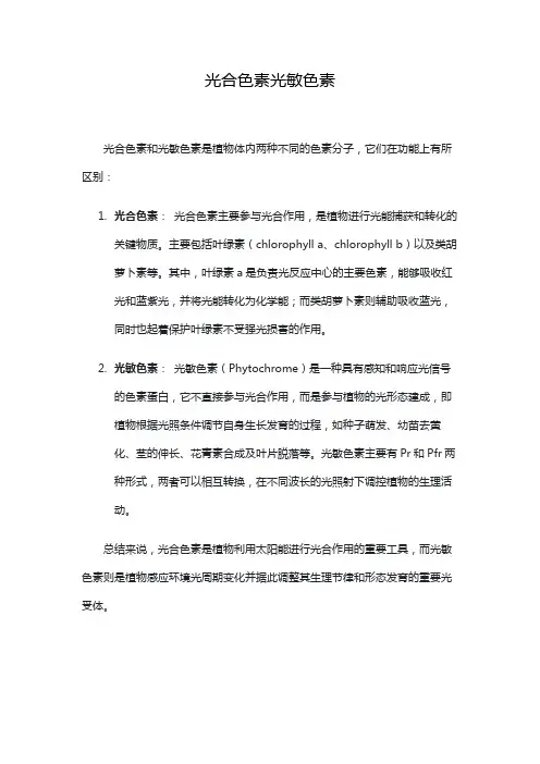 光合色素光敏色素