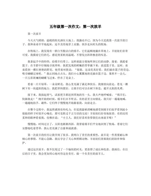 五年级第一次作文：第一次放羊