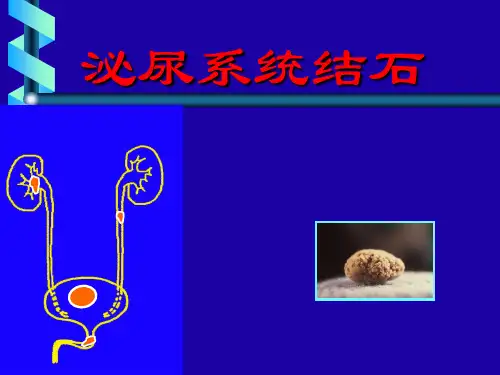 版肾结石诊疗指南ppt课件