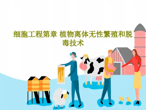 细胞工程第章 植物离体无性繁殖和脱毒技术共36页