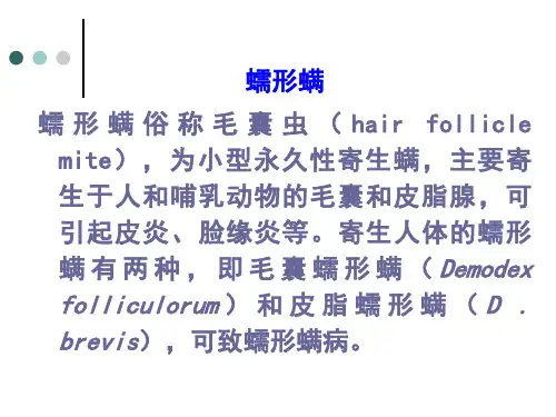 第十节  蠕形螨
