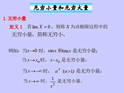 无穷小量与无穷大量