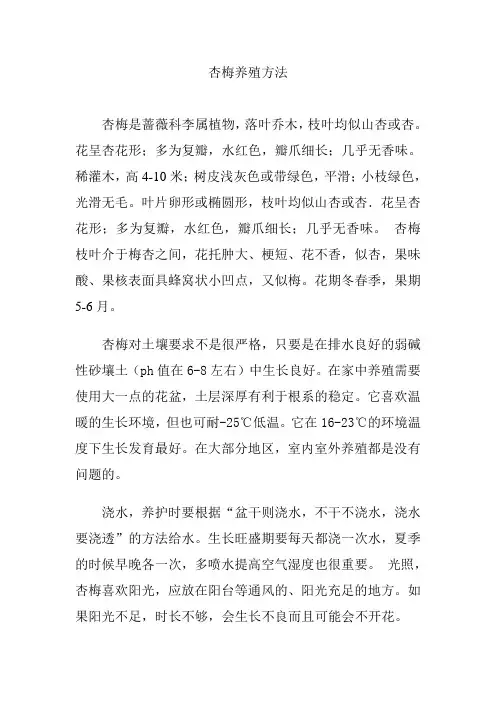 杏梅养殖方法
