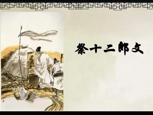 祭十二郎文优秀实用精品PPT课件