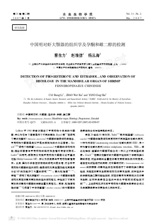 中国明对虾大颚器的组织学及孕酮和雌二醇的检测