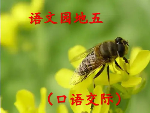 人教版语文二年级下册《语文园地五(口语交际)》教材