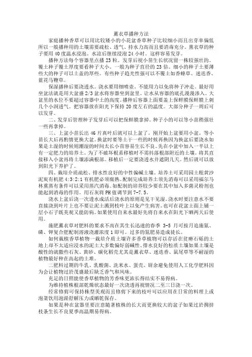 薰衣草播种方法