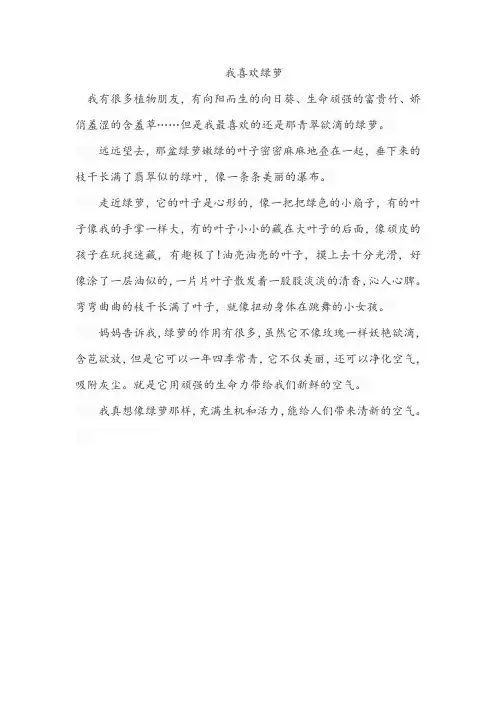 以绿萝为主题的作文