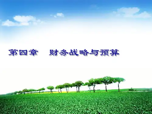 财务战略与预算(ppt 77页).ppt