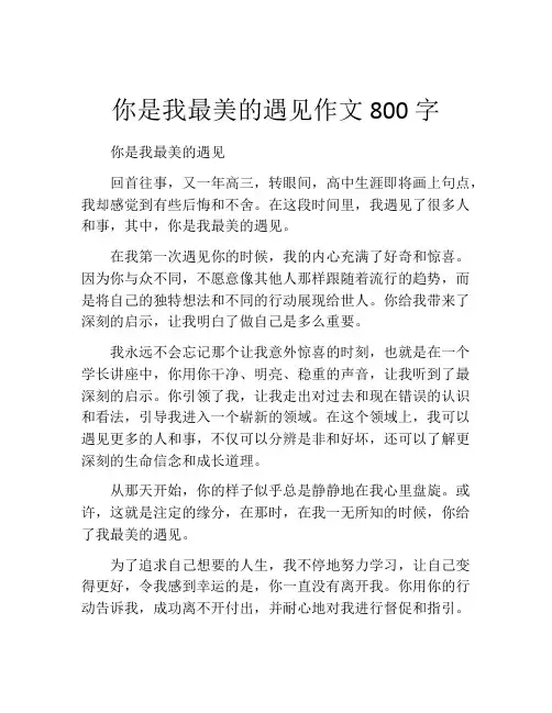 你是我最美的遇见作文800字