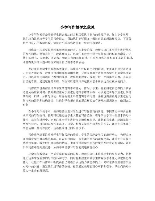 小学写作教学之我见