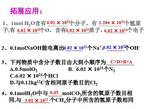 物质的量--第二课时