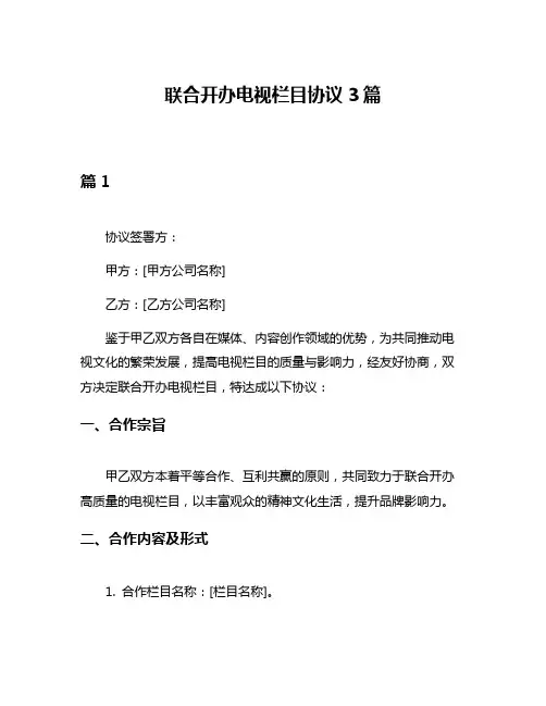 联合开办电视栏目协议3篇