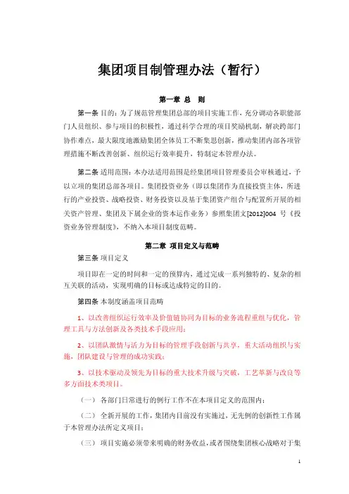 集团项目制管理办法