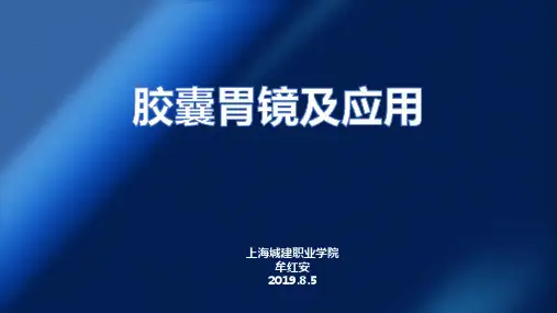 胶囊胃镜及应用