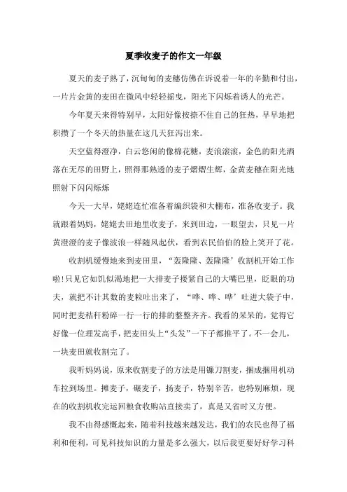 夏季收麦子的作文一年级