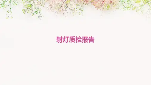 射灯质检报告