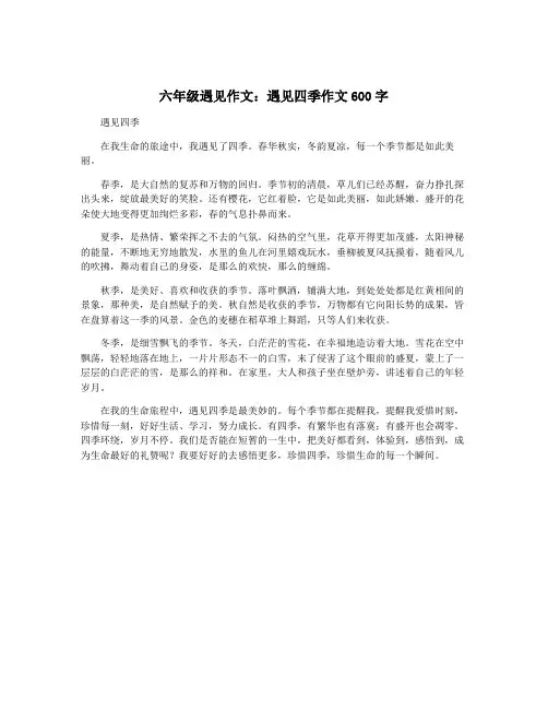 六年级遇见作文：遇见四季作文600字