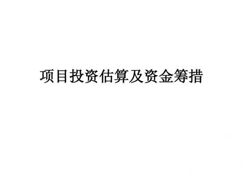 项目投资估算及资金筹措