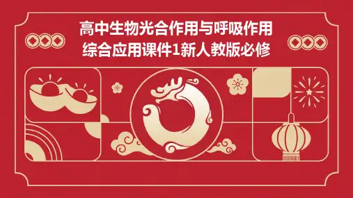 高中生物光合作用与呼吸作用综合应用课件1新人教版必修