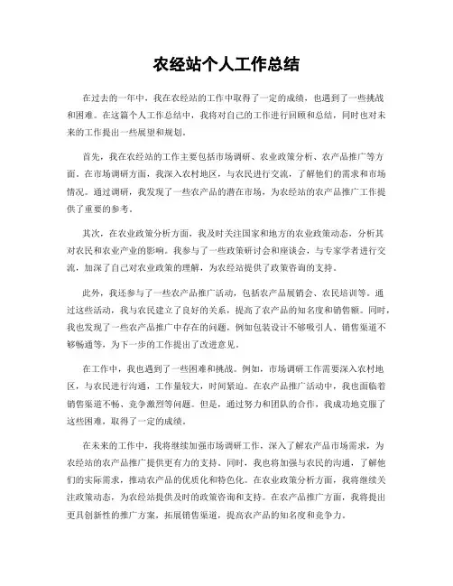 农经站个人工作总结
