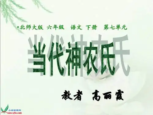 当代神农氏课件
