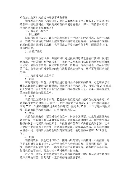 鸡苗怎么购买？鸡苗选种注意事项有哪些