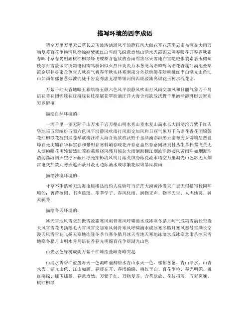 描写环境的四字成语