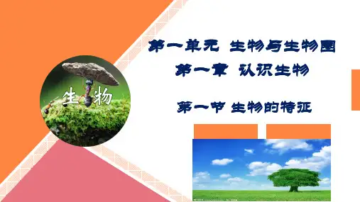 人教版七年级上册生物课件一单元第一章 第一节  生物的特征 (共24张PPT)