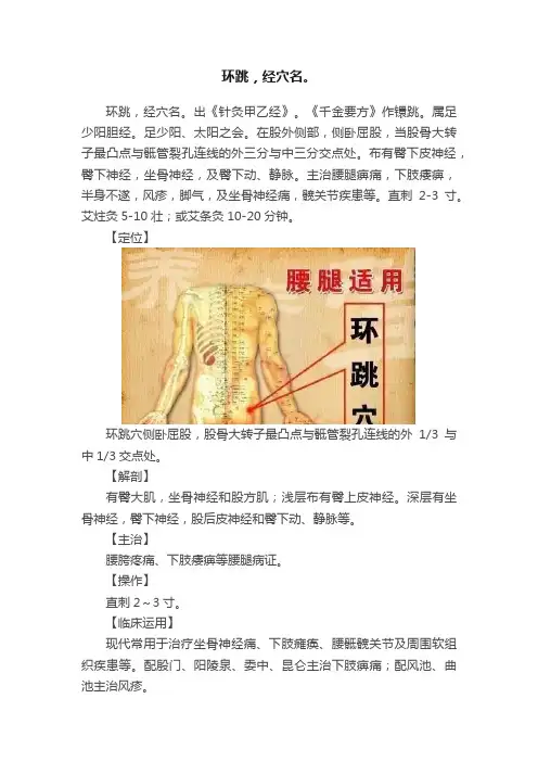 环跳，经穴名。