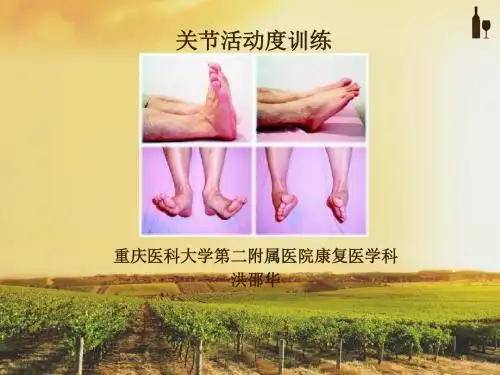 关节活动度训练模板PPT课件
