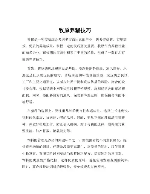 牧原养猪技巧