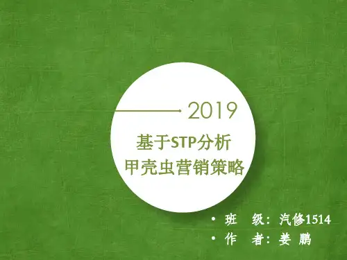 大众甲壳虫汽车STP营销策略