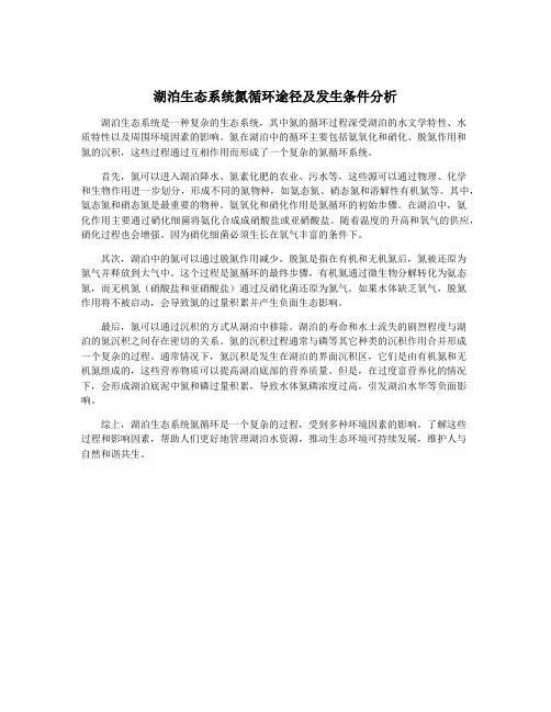 湖泊生态系统氮循环途径及发生条件分析