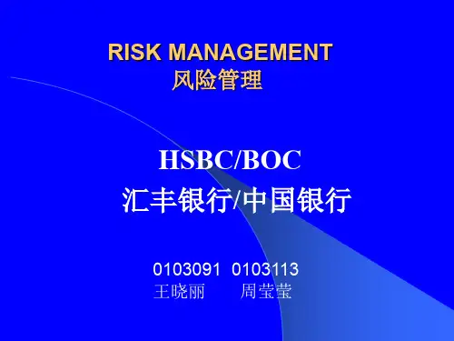 汇丰风险管理案例33页PPT