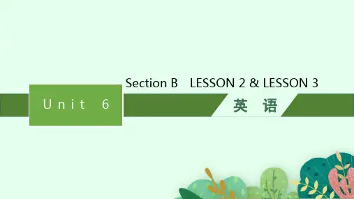 北师大版高中英语必修第2册 UNIT 6 THE ADMIRABLE Section B